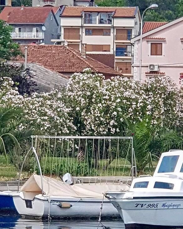 Апартаменты Porto Apartmani Тиват-6