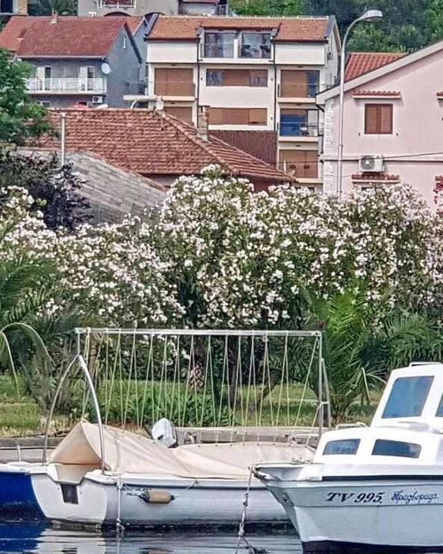 Апартаменты Porto Apartmani Тиват-5