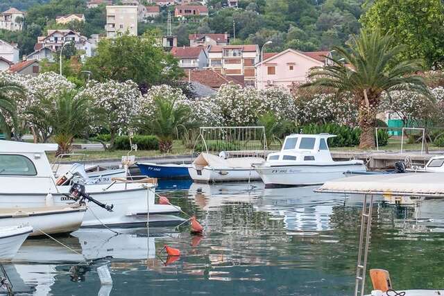 Апартаменты Porto Apartmani Тиват-6